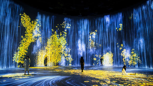 数字多媒体:  沉浸式体验