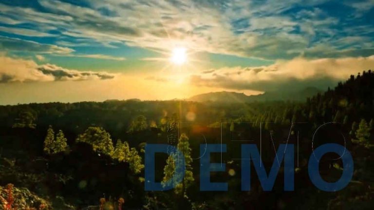 宣传片：佛山市柳菇婆餐饮服务有限公司