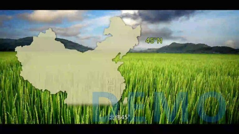 宣传片：五常大米康来鑫福