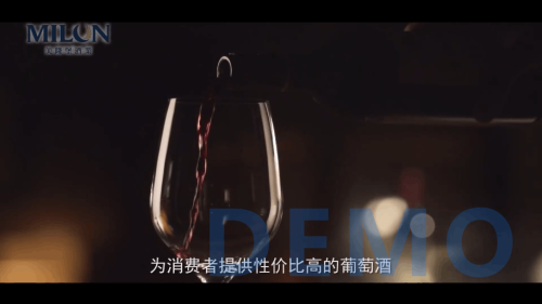 宣传片：广东美隆堡酒业有限公司